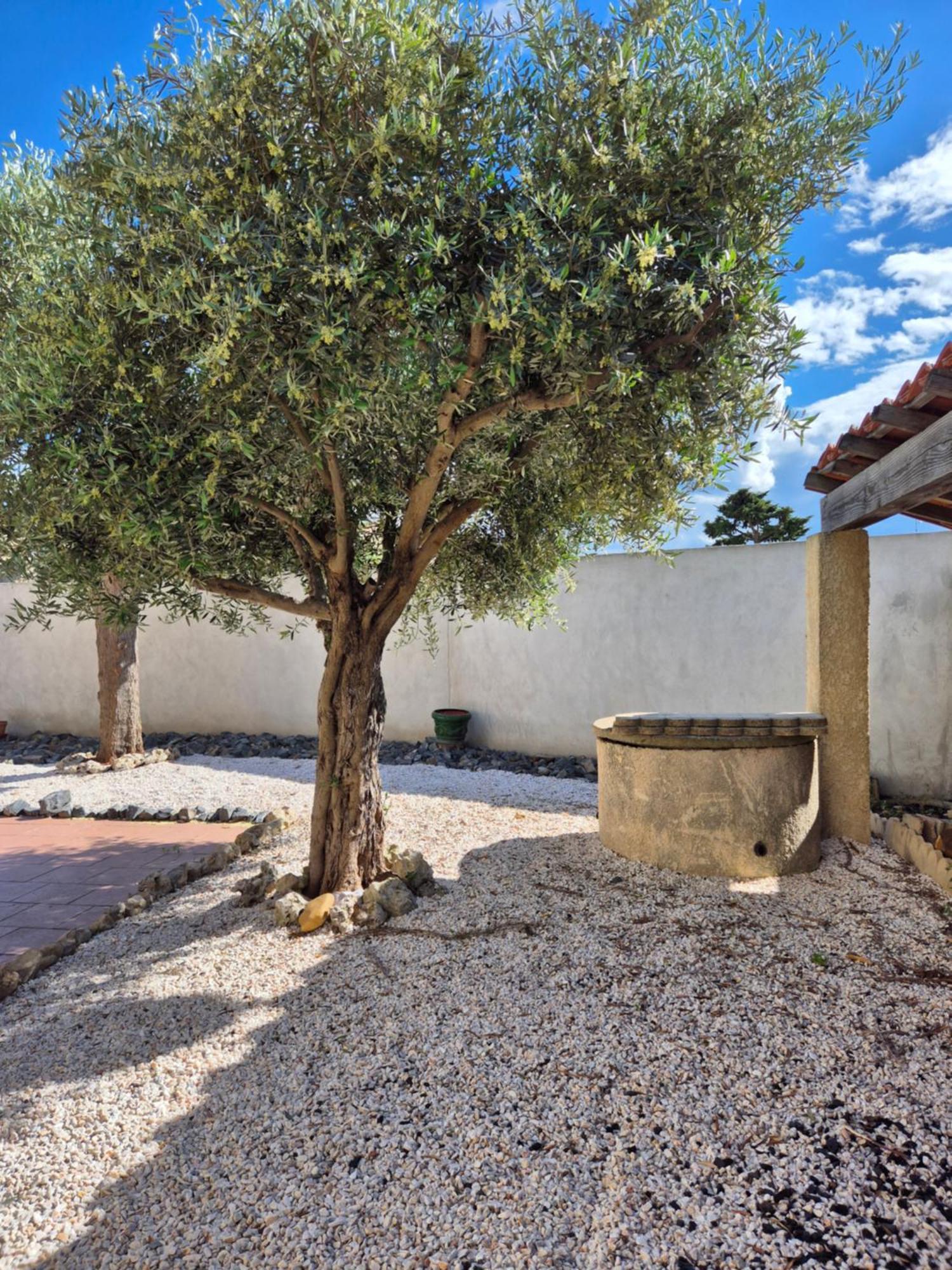 Apartamento Maison Des Myrtes Narbona